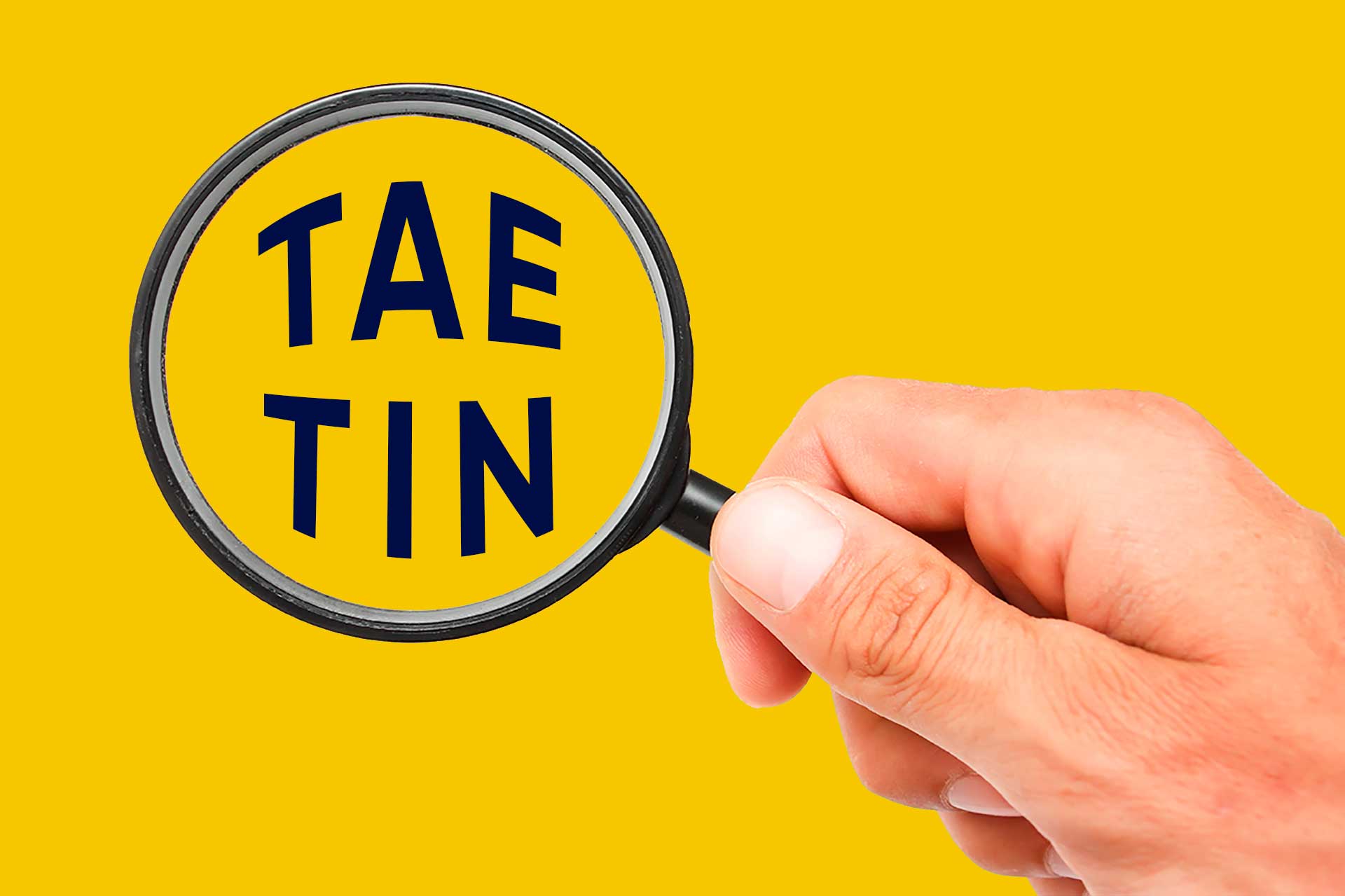 Diferencias entre TIN y TAE