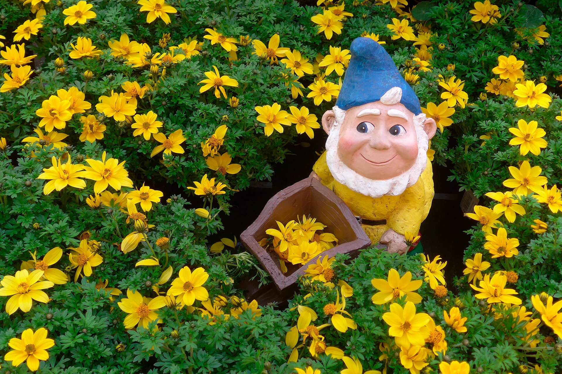 cómo decorar el jardín